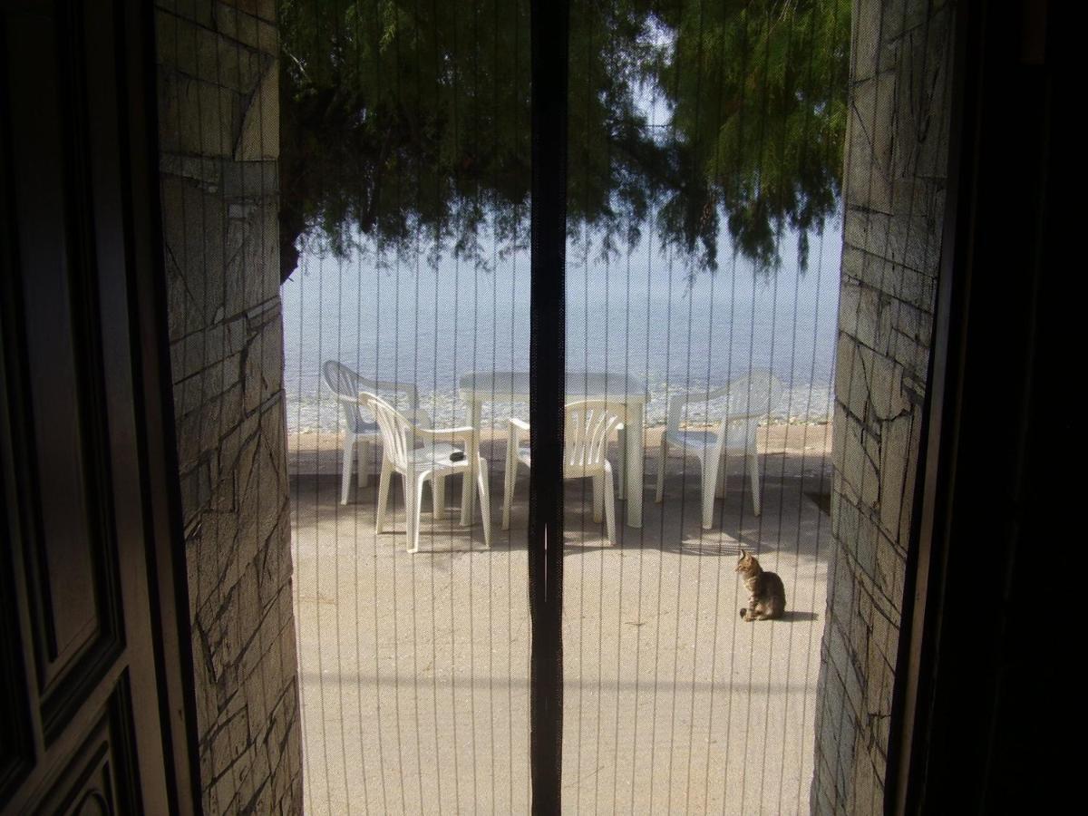 לפוקסטרו Sunset Suites חדר תמונה
